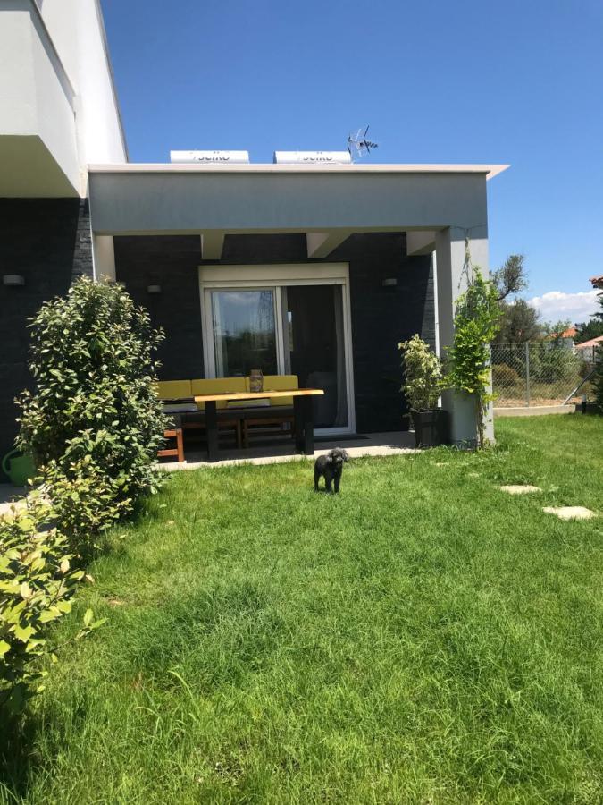 Terra Holiday Homes- Sunflowerアスプロヴァルタ エクステリア 写真